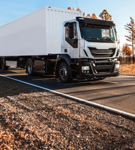 Distribuição e revenda